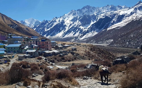 Langtang Valley Trek View